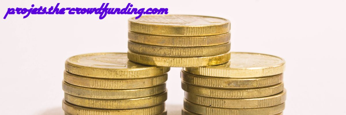 projets.the-crowdfunding.com
